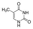 Thymine ≥99%