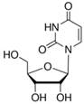 Uridine ≥99%